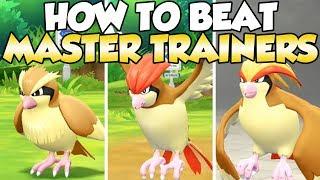 How To Beat Pidgey, Pidgeotto, & Pidgeot Master Trainers Guide!