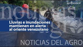  Lluvias e inundaciones mantienen en alerta al oriente venezolano - Noticias del Agro