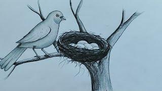 How to draw bird nest with Bird//Easy bird nest drawing for beginner