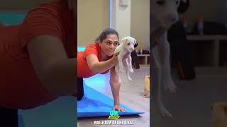 Yoga With Puppies  | Uma Riyaz #shorts