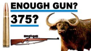 Is a 270-gr., 375 H&H bullet enough for the notorious Zambezi Delta Cape Buffalo?
