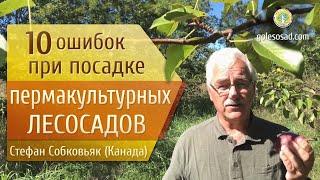 10 ошибок при посадке пермакультурных лесосадов!