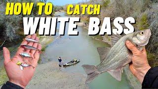 HOW TO Catch WHITE BASS + Surprise MONSTER Catch!