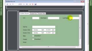 Visual Studio 2010  tutorial Design Data Table in Form