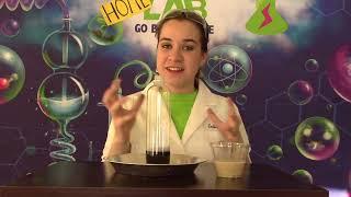 Elephant's Toothpaste: Science Girl's Home Lab SGHL