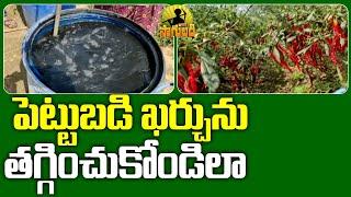 Zero Budget Natural Farming | Young Farmer Organic Farming | Sakshi TV Sagubadi