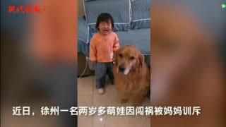 video anjing melindungi anak yang dimarahi ibunya
