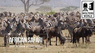 Safari Travel: What to Know Before You Go on an African Safari