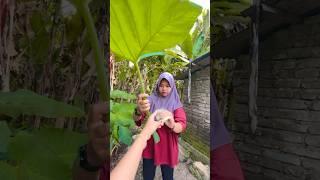 Payung #comedy #shortvideo