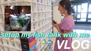 how i set up my fish tank! | plants, fish shopping, new fish!