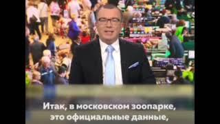 Денна норма продовольства для росіянина