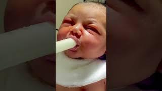 Baby feeding #cute #newborn #short #nicu