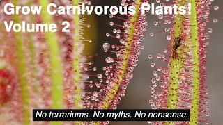 Grow Carnivorous Plants! Volume 2 - Tropical Sundews