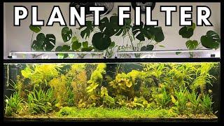 Plant-Powered Aquarium, How? (With No Filter, No Water Change)