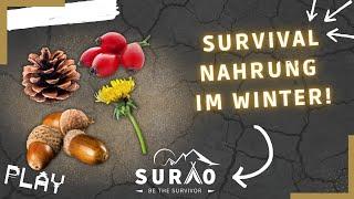 SURVIVAL NAHRUNG IM WINTER! | #1 Geschenke der Bäume | Survivaltipps