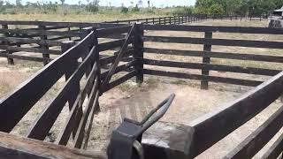 Fazendinha a venda em Roraima, no valor  de 9.000 o hectare.