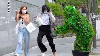 THIS BUSH IS ALIVE ! BUSHMAN PRANK in KOREA