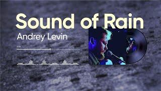 Andrey Levin - Sound of Rain | Андрей Левин «Звук Дождя»