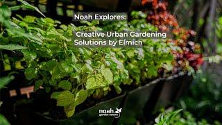 Noah Explores: Creative Urban Gardening Solutions by Elmich