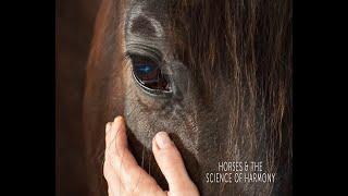 HORSES & THE SCIENCE OF HARMONY