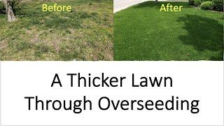 How to Make Your Lawn Thicker and Healthier