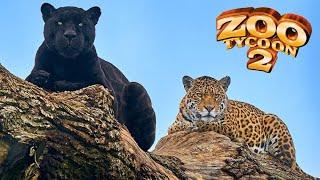 Jaguar Exhibit Speed Build - Zoo Tycoon 2