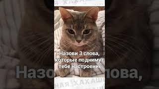 #приколы #лютыеприколы #мемы#озвучка