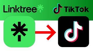 How to Add Linktree on TikTok | Make Business TikTok Account | Linktree Tutorial