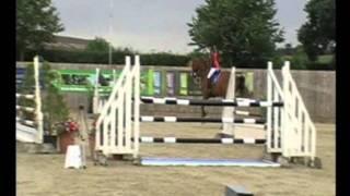 For Sale Showjumping, Dressage horse.wmv