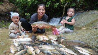 How to catch a giant school of fish to sell at the market with your children