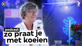 Hoe kunnen we koeien beter begrijpen? | VPRO Tegenlicht x Lowlands