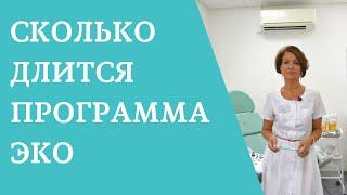 Сколько длится программа ЭКО