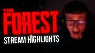 "MY MÁME TEORII, VOLE" | CS2 Team The Forest Stream Highlights