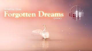 Forgotten Dreams (mix)