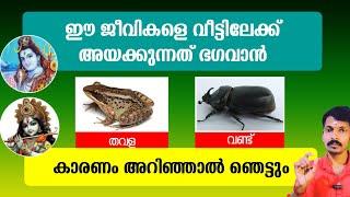 ഈ ജീവികളെ അയക്കുന്നത് കുലദൈവം. കാരണം അറിയാമോ? വണ്ട്, തവള ഇവ വീട് തേടി വന്നാൽ ഫലം അറിയണോ ?