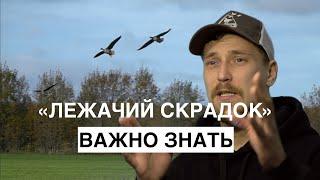 Важно знать/Лежачий скрадок/Охота на гуся