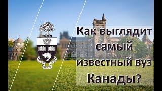 Университет Торонто - как выглядит самый известный вуз Канады? Кратко о главном глазами выпускника.