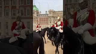 funny #horse #london #queens #history #kingsguard #tourist #royalcelebration #subscribenow