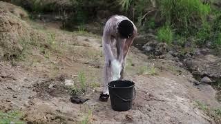 How African Village Girls Take bath in the river