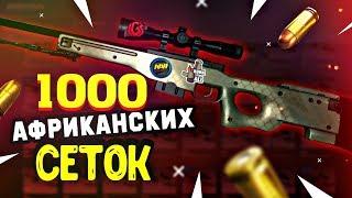 КУПИЛ 1000 AWP | Африканская Сетка в КС:ГО. Попались РЕДКИЕ ДОРОГИЕ наклейки. Заработал на скинах?!