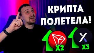 КРИПТА РАЗВЕРНУЛАСЬ! КАКИЕ АЛЬТКОИНЫ ДАДУТ ИКСЫ?