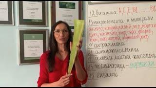 История и ползи от Aloe Vera