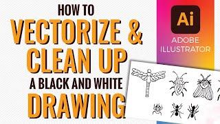 How to Vectorize and Clean Up a Scanned Black and White Hand Drawing in Adobe Illustrator
