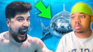 Leek Dior Reacts To Man Swims With Sharks For $100,000…Wow