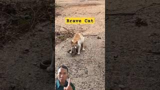 Wow Brave cat Catching snake #shorts #viral #cat