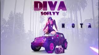 Divasoflyy - Nota  | Visualizer