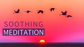 Guided Meditation for Calming ANXIETY - Meditation for Calming the Mind