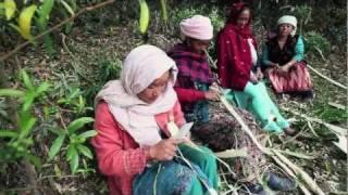 Lokta PaperMaking Project - Generating Income for the Women of Nangi, Nepal