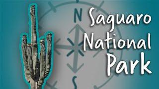 How do Cacti Survive the Desert? Adaptations in Saguaro National Park | OutSCIder Classroom