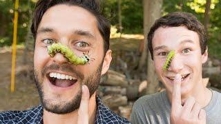 Meet the Crazy Amazing Caterpillars of America